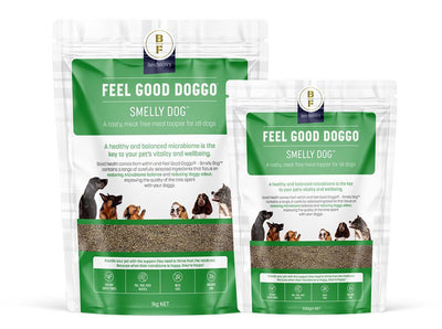 Two packages of 'Feel Good Doggo' dog food on a white background