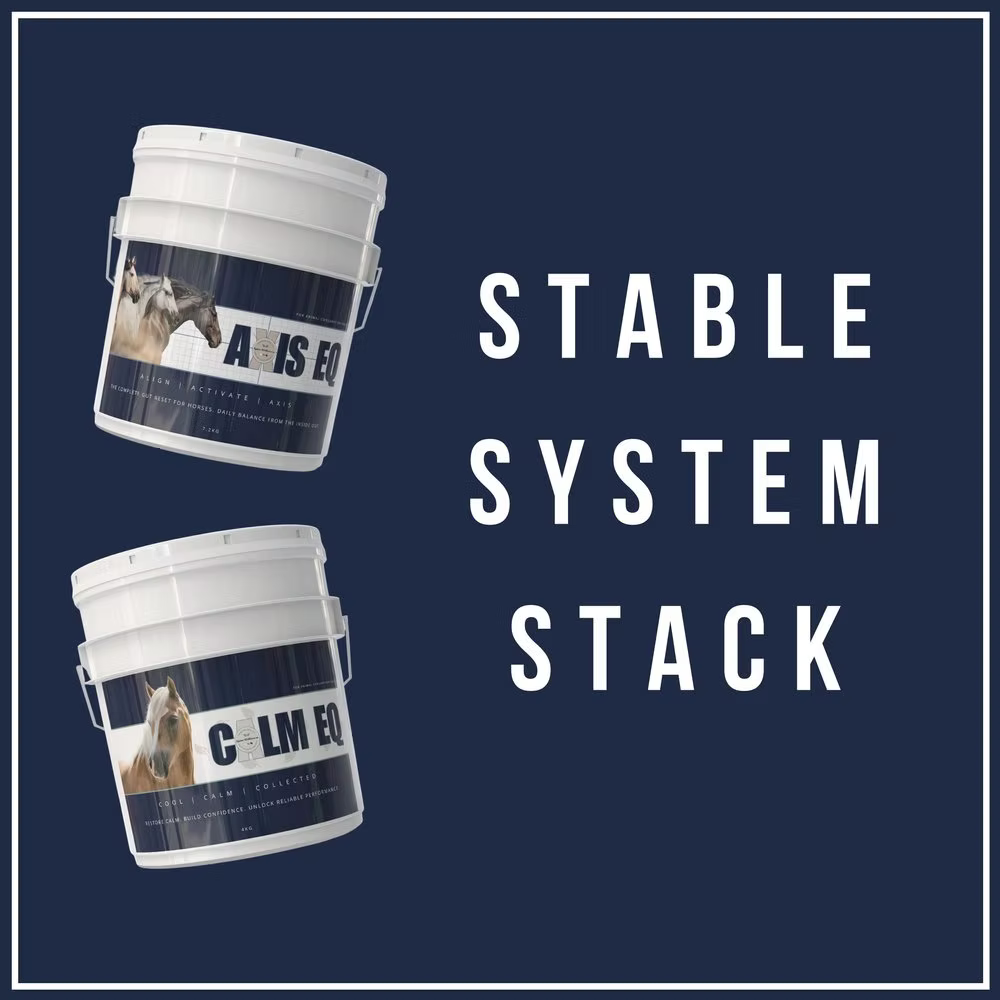 Stable System Stack