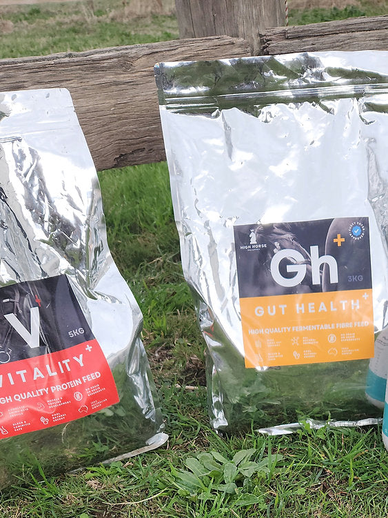 Two bags of pet food, one labeled 'Vitality' and the other 'Gut Health', on grass.