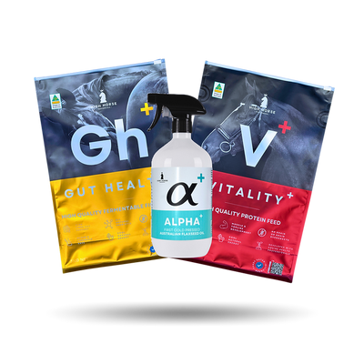 Three product packages labeled 'Gut Health', 'Alpha', and 'Vitality' on a white background.