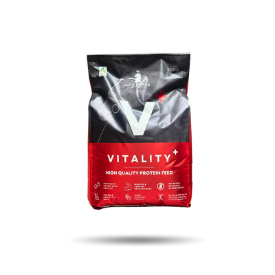 Vitality by HighHorse