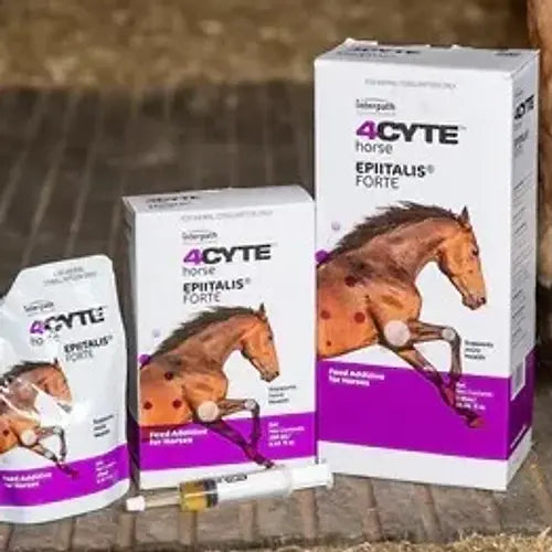 4CYTE EQUINE EPIITALIS FORTE