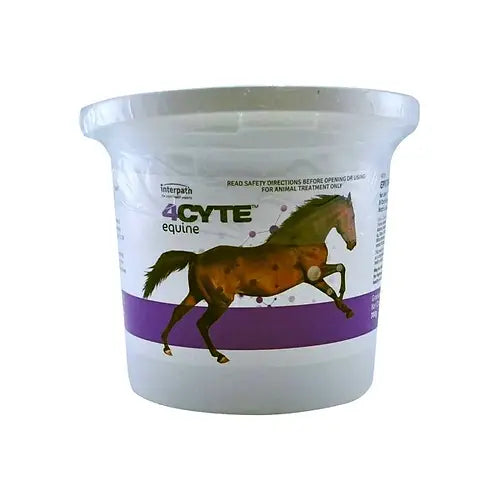 4CYTE EQUINE EPIITALIS FORTE