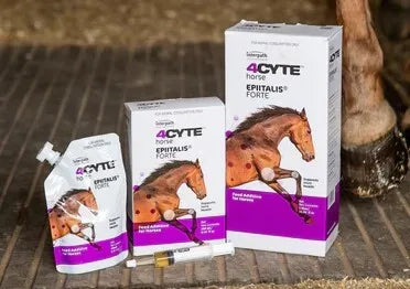 4CYTE EQUINE EPIITALIS FORTE