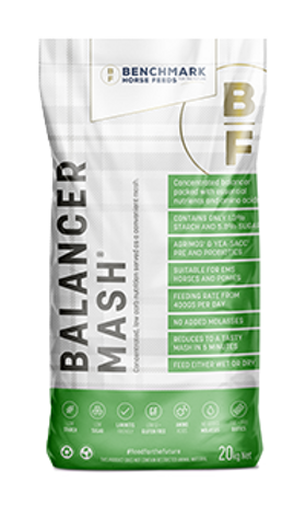 Benchmark Balancer Mash