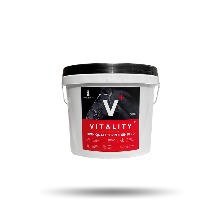 Vitality by HighHorse